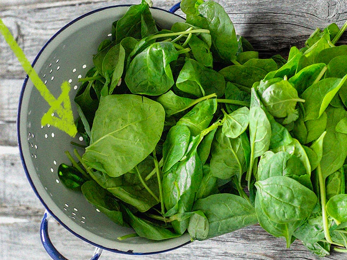 Spinach Nutrition: Health Advantages and Spinach's Nutritional Worth
